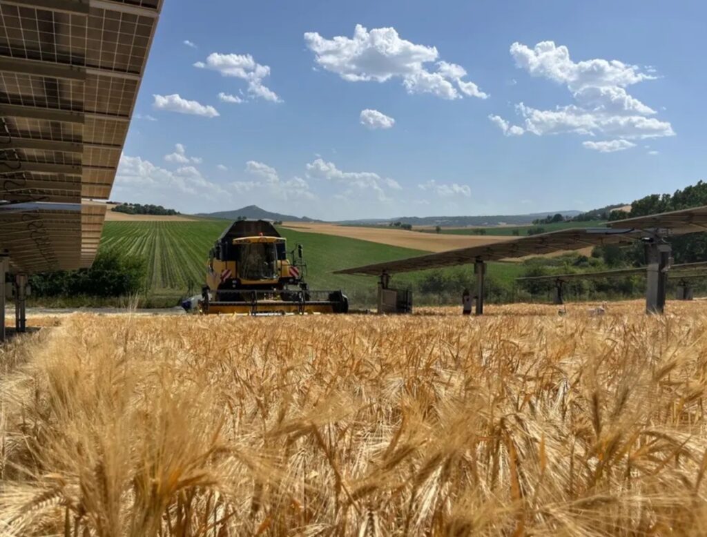 Instalacja agrofotowoltaiczna w Chadeleuf, Francja. Fot. TSE