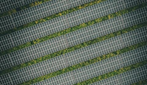 Deweloper dostanie ponad 100 mln zł pożyczki na budowę farmy PV