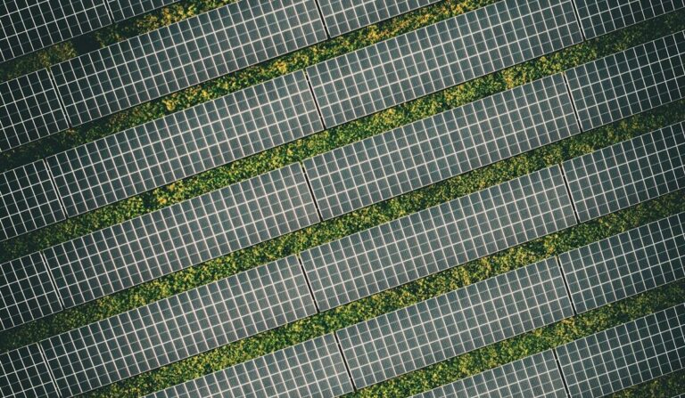 Deweloper dostanie ponad 100 mln zł pożyczki na budowę farmy PV