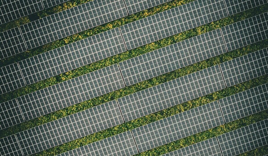 Deweloper dostanie ponad 100 mln zł pożyczki na budowę farmy PV