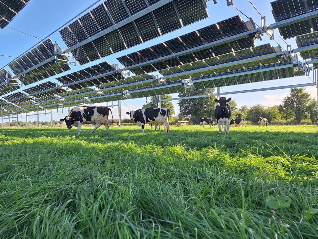 Instalacja agrofotowoltaiczna w Souleuvre-en-Bocage, Francja. Fot. TSE