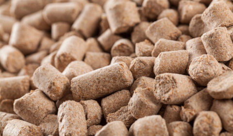 Agropellet bliżej wsparcia? Rząd szykuje zmiany, ale branża ma wątpliwości