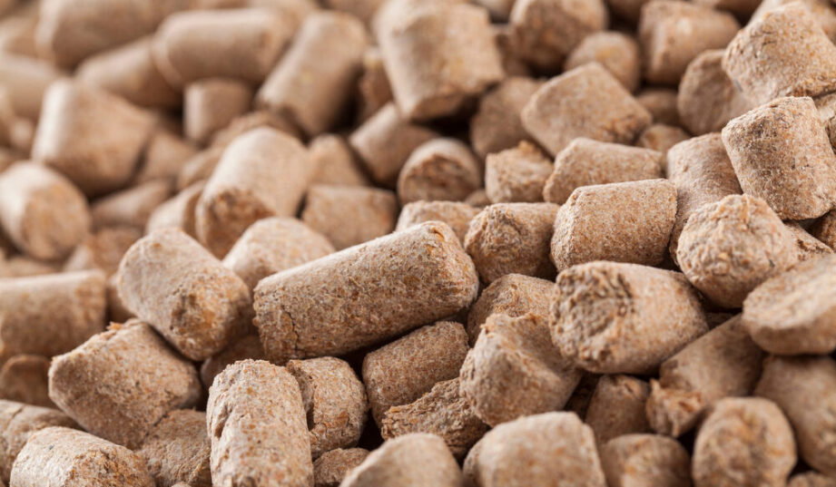 Agropellet bliżej wsparcia? Rząd szykuje zmiany, ale są wątpliwości