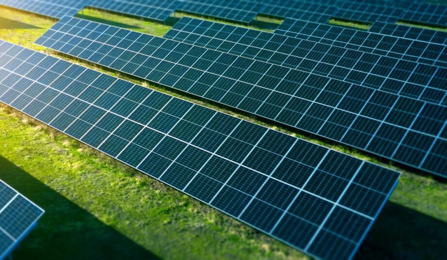 G&uuml;lermak kupił projekt PV w Polsce. Instalacja będzie miała 69 MW