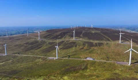 Więcej wiatrak&oacute;w, niższe rachunki. Brytyjczycy policzyli korzyści z energetyki wiatrowej