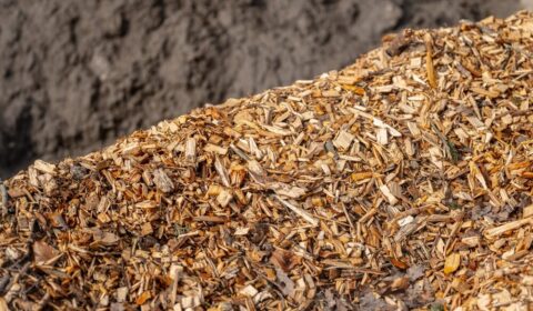 Ceny biomasy drzewnej rosną. Litwa szykuje działania, aby ustabilizować rynek
