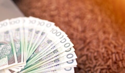 Ceny pelletu w g&oacute;rę, a Polska nie nadąża z produkcją. Rynek obawia się rozporządzenia EUDR