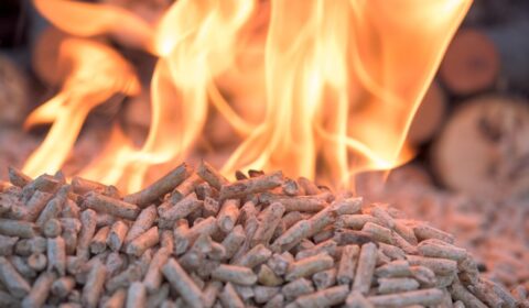 Pellet po 5 tys. zł za tonę? Rząd wskazuje rozwiązanie