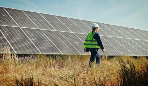 Nowy inwestor na polskim rynku fotowoltaiki. Gulermak Renewables zrealizuje projekt Vistula