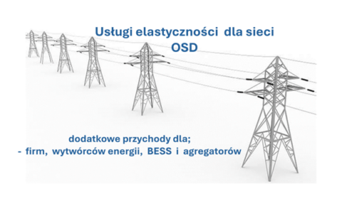 Usługi elastyczności dla OSD, od wytw&oacute;rcy, odbiorcy, BESS czy agregatora &ndash; jak zarabiać - szkolenie