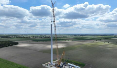 Tauron z nową inwestycją. Kupuje projekt farmy wiatrowej w p&oacute;łnocno-zachodniej Polsce