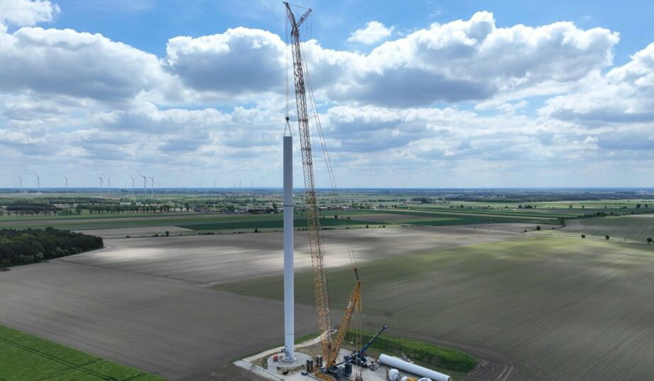 Tauron z nową inwestycją. Kupuje projekt farmy wiatrowej w p&oacute;łnocno-zachodniej Polsce