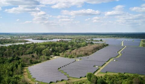 Ponad 100 chętnych na fotowoltaicznego giganta. Aktywa Enerparc przyciągają inwestor&oacute;w