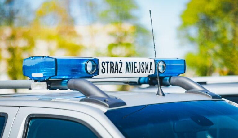 Sąsiad pali w kopciuchu i dym leci na Twoją działkę? Sprawdź, co możesz zrobić