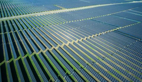 Powstanie jedna z największych farm fotowoltaicznych w Polsce. Inwestor znalazł finansowanie