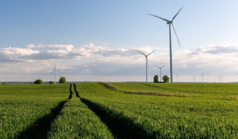 MON otworzyło drogę dla wiatrak&oacute;w. 1 GW mocy z szansą na realizację