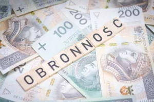 Energetyka częścią obrony Polski. Kto powinien płacić za jej ochronę?