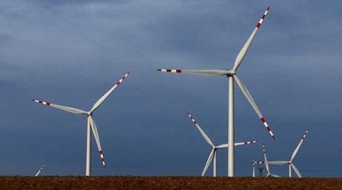 Tauron analizuje przejęcia w OZE. Na razie zmniejszył produkcję energii odnawialnej