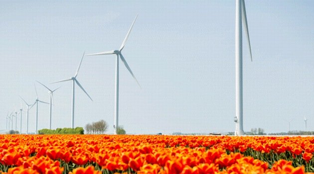 Największa "społeczna" farma wiatrowa  w Europie z umową PPA