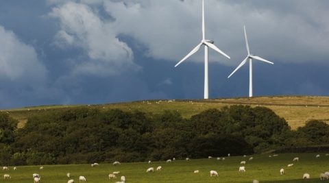 IEO policzył projekty wiatrowe w Polsce