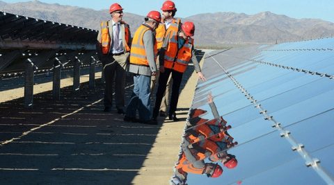 Wielka umowa na energię z fotowoltaiki. Zasili producenta piwa