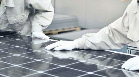Tym producentom modułów PV nie grozi bankructwo