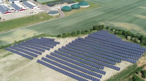 To jeden z liderów polskiego rynku PV. Postawi ponad 60 MW