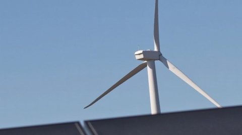 O zwycięstwie w aukcji OZE może zdecydować kilkadziesiąt groszy