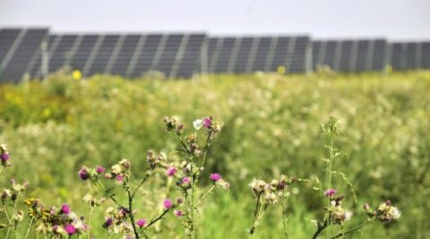 Litwini sprzedają 49 farm fotowoltaicznych w Polsce