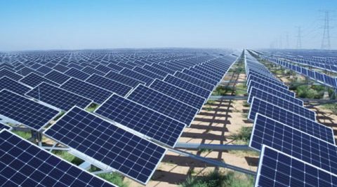 Chińczycy rozstrzygnęli aukcję dla fotowoltaiki. Jakie ceny energii?