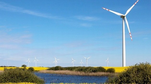 Tak PGE chce chronić ptaki przed kolizjami z turbinami wiatrowymi