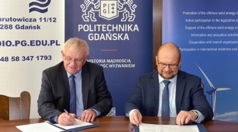 Pierwsze w Polsce studia z zakresu morskiej energetyki wiatrowej
