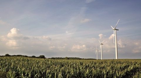 Aukcje w Niemczech: brakuje projektów, ceny w górę