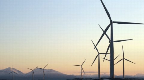 Największy zakup energii odnawialnej w historii Google