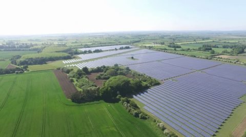 Największa farma PV w Holandii powstanie z plantacją borówek