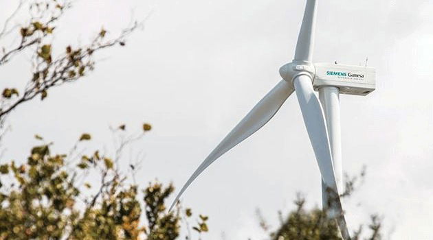 Polska z największą w Europie aukcją dla farm wiatrowych na lądzie
