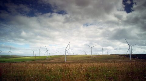 Inwestorzy wiatrowi tylko częściowo skorzystają z mechanizmu aukcyjnego