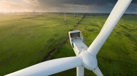 Niższa cena energii wiatrowej w Danii w 2019