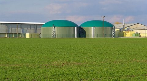 Konkurs na projekty "Green Deal" z PROW 2014-2020