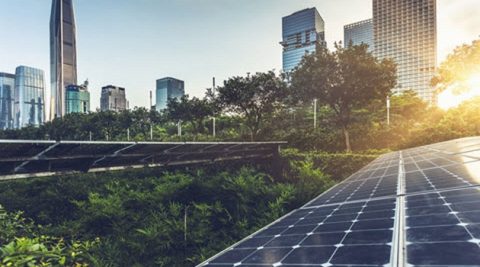 Zarządzanie firmą z rynku energetyki odnawialnej z pomocą SAP Business One