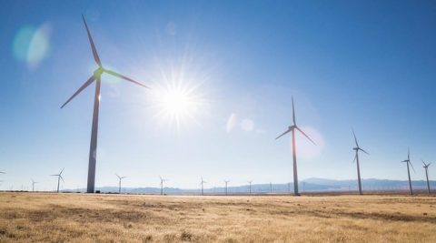 Australijczycy zaczęli ograniczać pracę elektrowni OZE. Dlaczego?