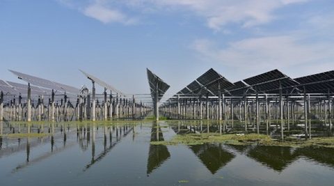 Dwustronne panele fotowoltaiczne na wodzie. W sumie 500 MW