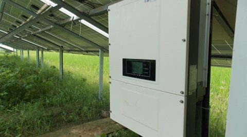 SOFARSOLAR liderem na kluczowym rynku PV