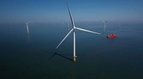 Największy na świecie koncern spożywczy kupi energię z morskich wiatraków