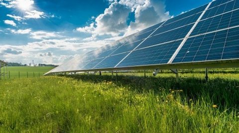 PSE: Fotowoltaika pomoże polskiej energetyce przetrwać lato