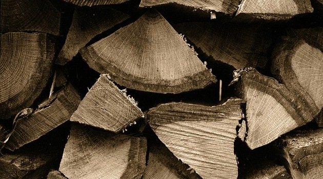 Rząd zmieni definicję drewna energetycznego.. z powodu COVID-19