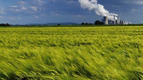 Duży spadek produkcji energii z węgla w Niemczech. W górę tylko generacja z PV
