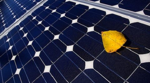 Niemiecki sektor PV notuje wysoki poziom inwestycji, ale rośnie pesymizm