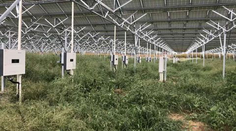 Falowniki Sofar Solar: Niezawodna praca w trudnych warunkach