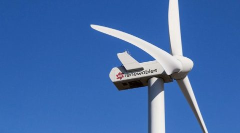 EDPR mocno zwiększył przychody z produkcji energii wiatrowej w Polsce